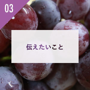 フルーツ千里ぶどう