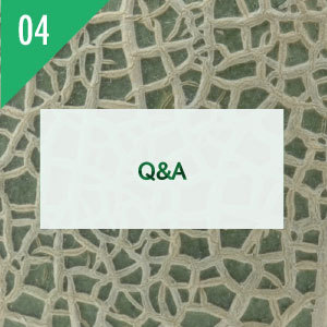 フルーツ千里メロン