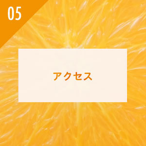 フルーツ千里オレンジ