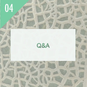 フルーツ千里メロン