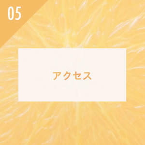 フルーツ千里オレンジ